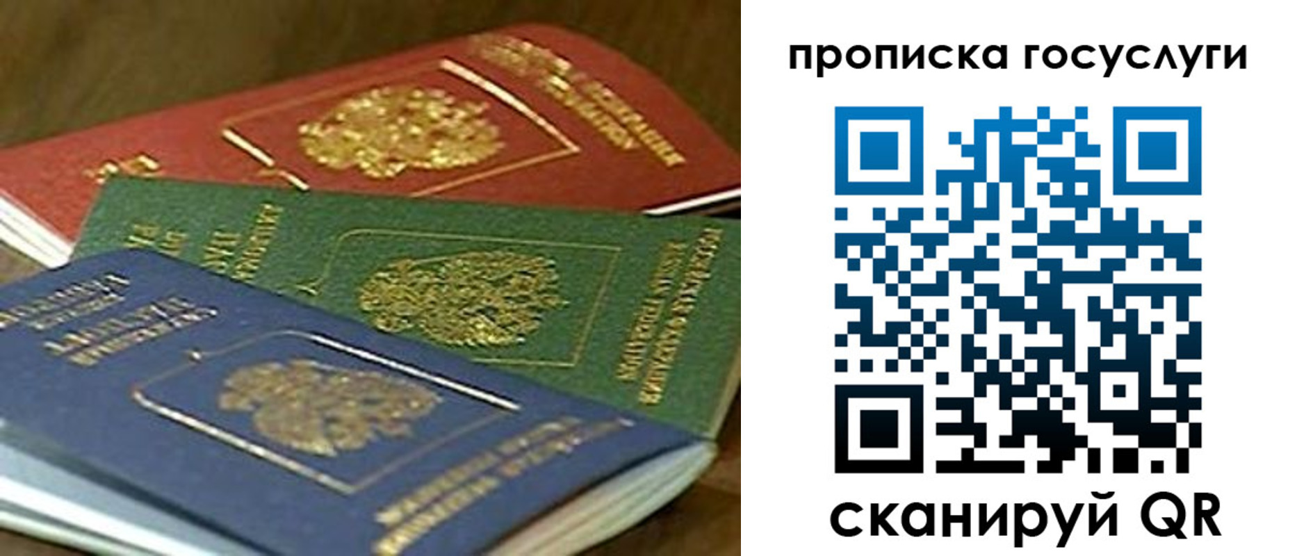 прописка гарантия в Сасово